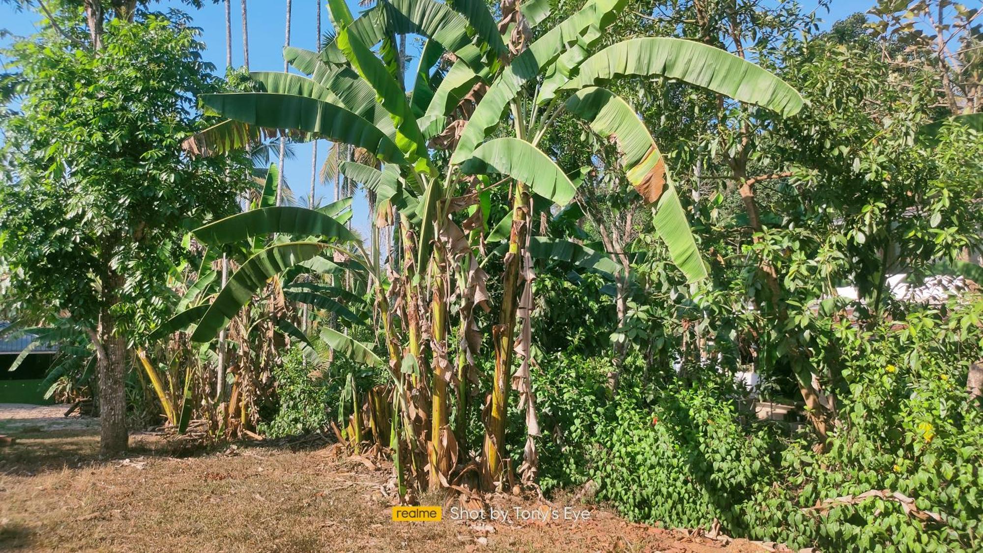 Karapuzha Adventure Park Homestay-By Karapuzha Resorts Meenangadi Eksteriør bilde